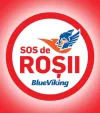 BlueViking Sos de roșii (80g)