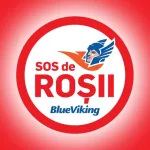 BlueViking Sos de roșii (80g)